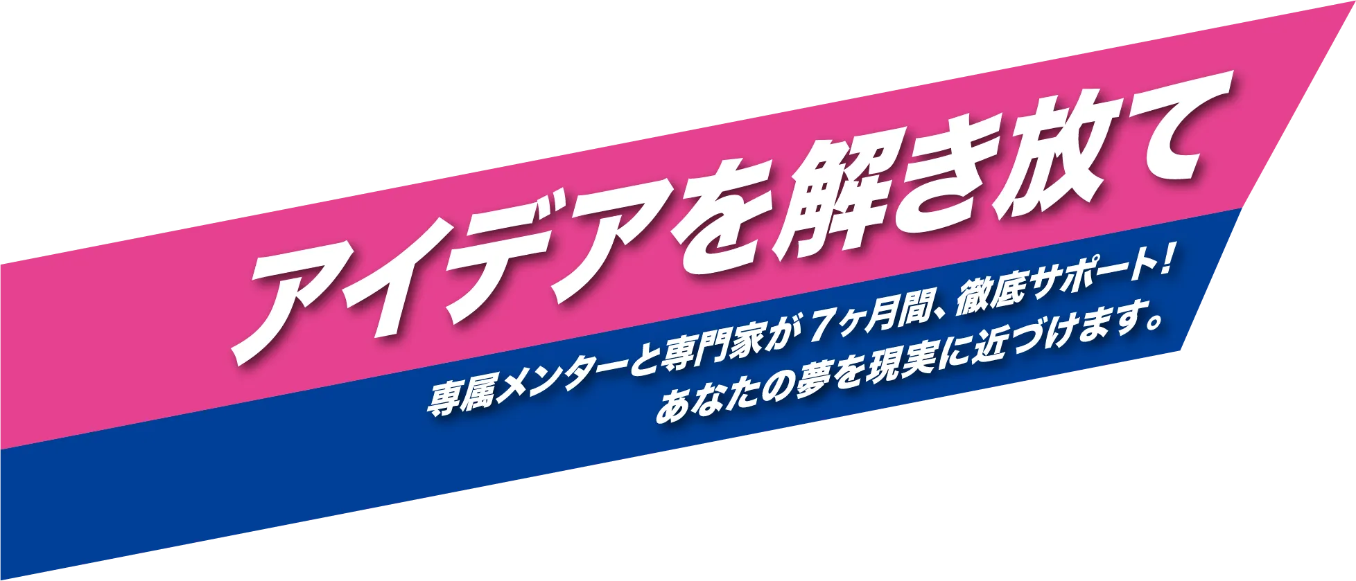 BUSINESS BOOST PROGRAM